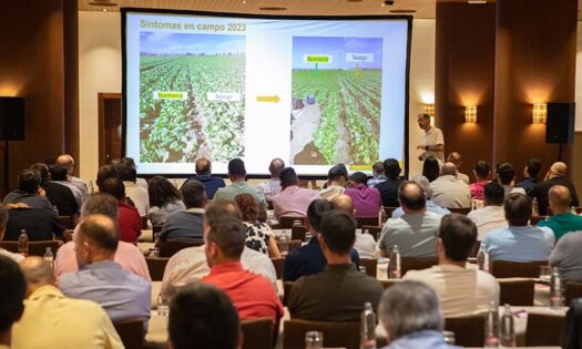 Las nuevas iceberg con resistencias completas en un encuentro con productores en Murcia