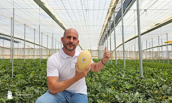 José Cárdenas, category manager de Foodture, con el melón Waikiki / agroautentico.com