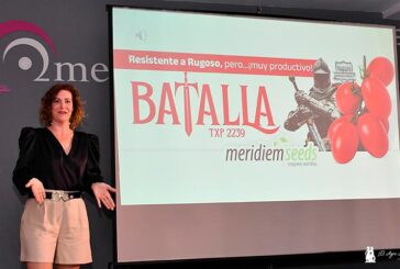 Meridiem Seeds da la ‘Batalla’ al rugoso con el tomate pera