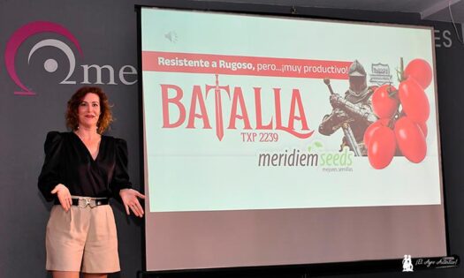 Meridiem Seeds da la Batalla al rugoso con el tomate pera-noticias-agroautentico.com