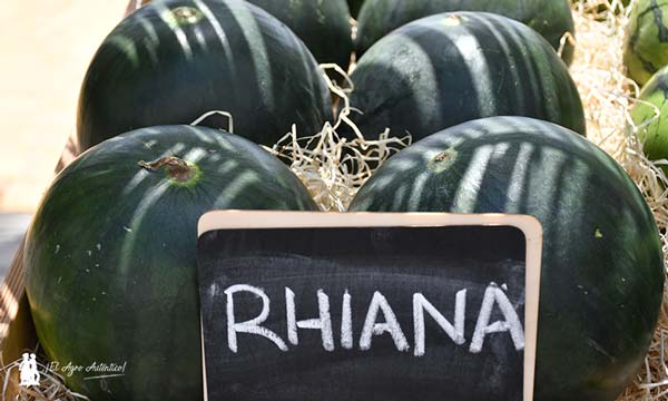 En negra triploide la variedad de Fitó se llama Rhiana / agroautentico.com