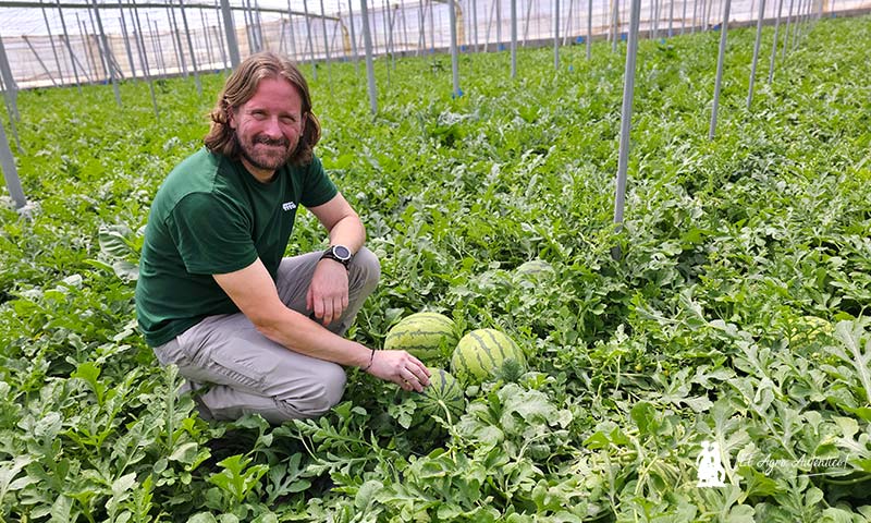 Juan Antonio Fernández con la gran novedad de Fitó en sandía blanca triploide / agroautentico.com