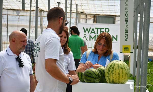 Sandías de Semillas Fitó en El Ejido, Almería / agroautentico.com