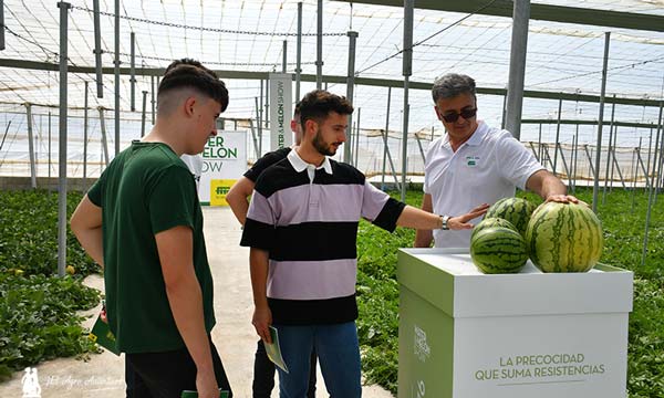 Sandías de Semillas Fitó / agroautentico.com