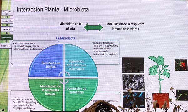 Ana Cristina Abreu es miembro del departamento de Química y Física de la UAL. Estudio de los prebióticos Dream y Brio de Viagro / agroautentico.com