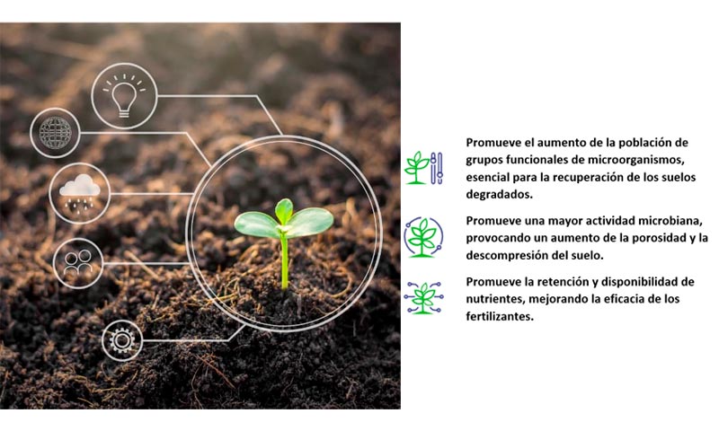 Asfertglobal lanza Kiplant Solevure como nuevo revitalizador de suelos-noticias-agroautentico.com