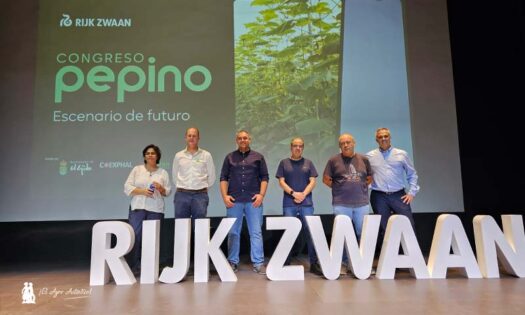 Blue Leaf más resistencias a CGMMV, Nueva Delhi y fusarium en pepino
