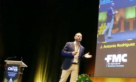 FMC presenta en el Citrus Forum de Valencia la alta eficacia y persistencia de Exirel Cebo en el control de Ceratitis en cítricos gracias a la potencia de Cyazypyr