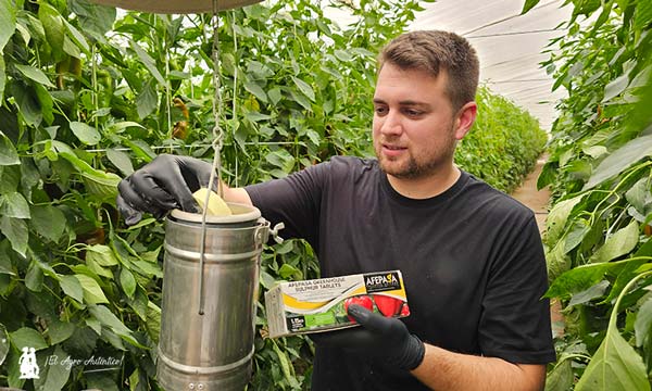 Federico Pedraza con la cazoleta de un evaporador eléctrico de Afepasa en un invernadero de un agricultor de Lupión y Rodríguez / agroautentico.com