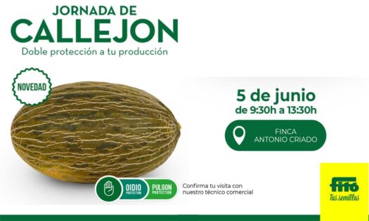 Jornada de melón piel de sapo Callejón de Ramiro Arnedo