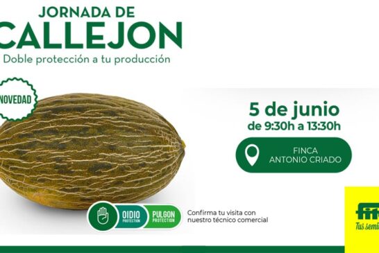 Día 5 de junio. Jornada de melón Callejón de Semillas Fitó