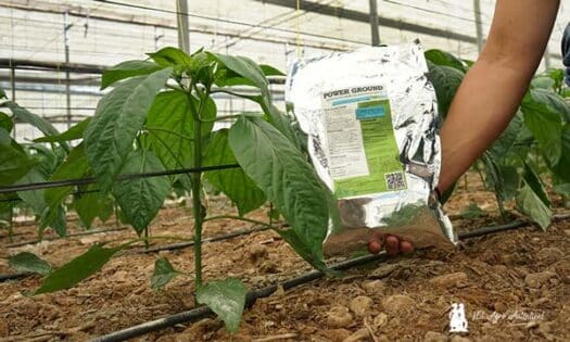 3 dry ounces Mycorrhiza Trichoderma Bacteria soil Inoculant roots