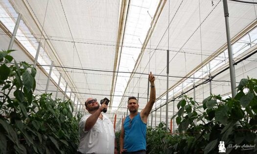Nelson y Enrique señalan las pantallas térmicas de Svensson (Harmony 3845) / agroautentico.com