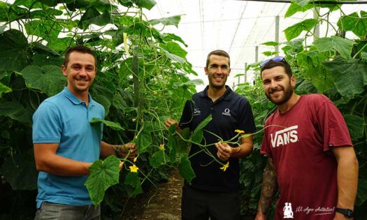 Pepinos en la costa de Granada con AGRInova Science