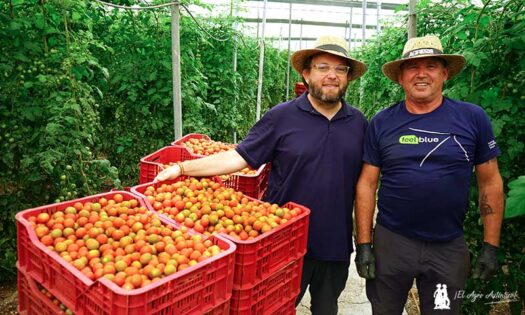 Tomate cherry y AGRInova en la costa de Granada con José Antonio Arcos / agroautentico.com