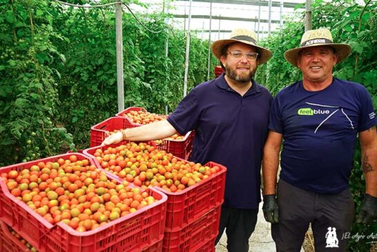 Cherry hasta el mes de agosto en Gualchos con el plan nutricional de AGRI nova