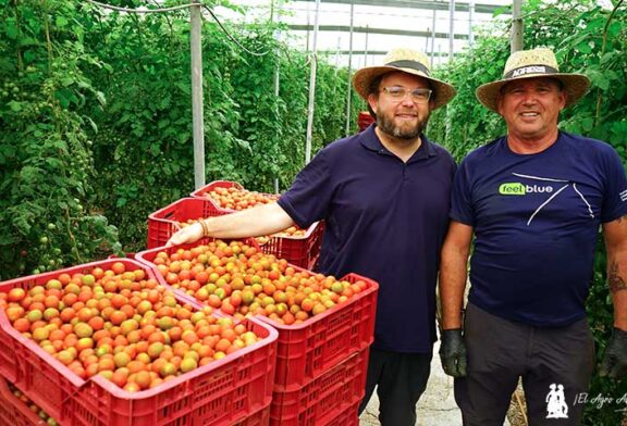 Cherry hasta el mes de agosto en Gualchos con el plan nutricional de AGRI nova