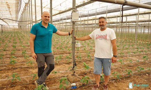Agrisense Himarcan. Alberto Lázaro, CEO de Himarcan, con el agricultor Víctor López / agroautentico.com