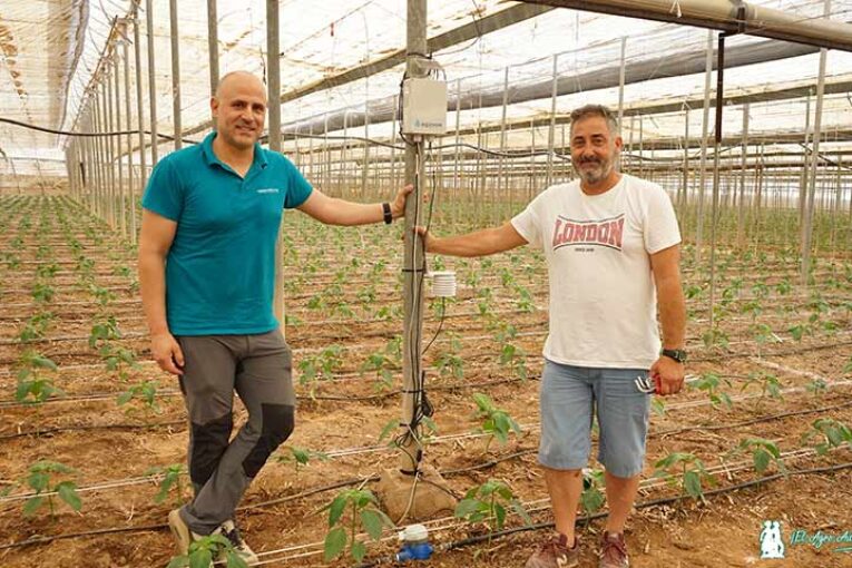 Agrisense Himarcan es el nuevo sistema de sensorización inteligente que llega al campo