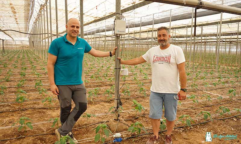 Agrisense Himarcan es el nuevo sistema de sensorización inteligente que llega al campo