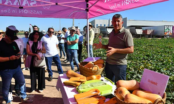 Las nuevas cacahuete de Sakata mejoran el almacenaje para tener calabaza nacional más tiempo-noticias-agroautentico.com