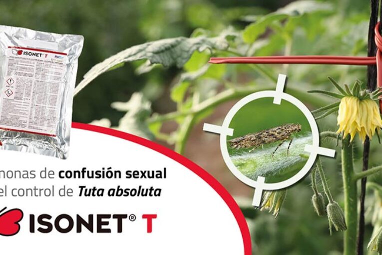 Isonet T, confusión sexual para controlar Tuta absoluta con Biogard