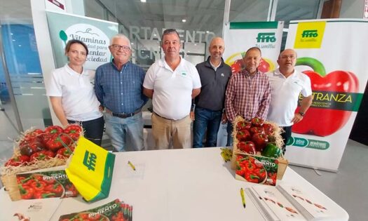 Semillas Fitó cierra con éxito la campaña de pimiento en Murcia con un video resumen de la V Edición de #VitamínateconPimiento