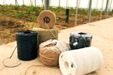 Agroponiente e Ifapa impulsan en el proyecto Recicland la rafia biodegradable