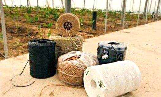 Grupo Agroponiente participa en una nueva sesión del Proyecto Recicland, en este caso sobre gestión de insumos plásticos para el entutorado