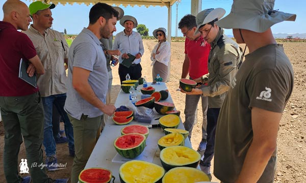 Rijk Zwaan y sus sandías mini (Candyball), microsemillas (Sandissima) o Tropical, entre otras / agroautentico.com