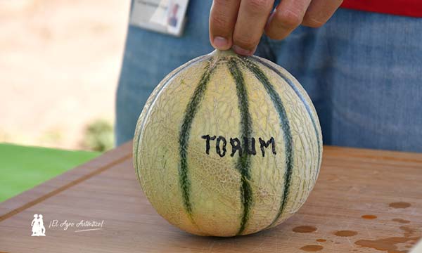 Torum, melón charentais de BASF | Nunhems / agroautentico.com