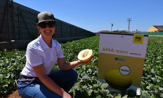 Inmaculada Duarte, responsable de marketing de Fitó con la nueva variedad de amarillo / agroautentico.com