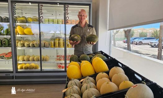 Juan Francisco Martínez muestra en una mano la nueva variedad de Rijk Zwaan dentro de Mellissimo y en la otra Ciclope / agroautentico.com