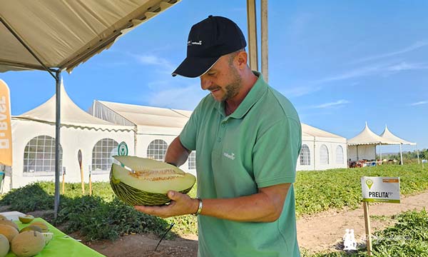 La superplanta en piel de sapo. José Ramón Naranjo, especialista de melón en BASF / agroautentico.com