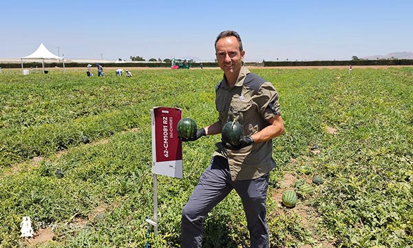 Rijk Zwaan y sus sandías mini: Javier Climent con 62CM1081 / agroautentico.com