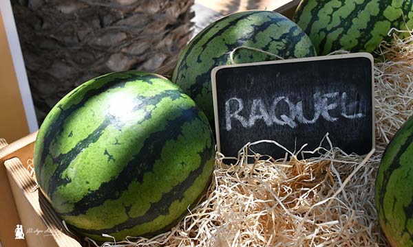 Sandía Raquel de Semillas Fitó / agroautentico.com