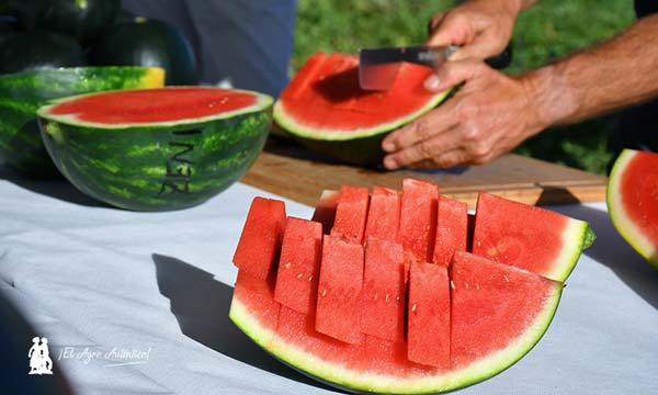 Sandías con doble aptitud de Nunhems / agroautentico.com