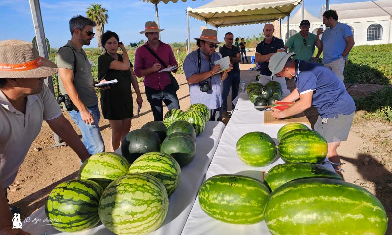 ‘Melon & Watermelon Business Event for Expert’ en La Palma (Cartagena) / agroautentico.com