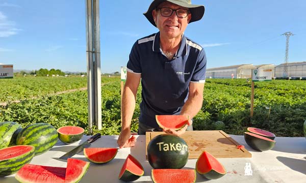 Pere Montón con las sandías unipersonales, Takemi, de BASF | Nunhems / agroautentico.com