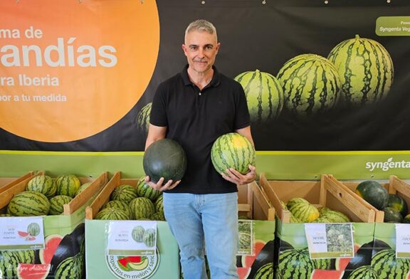 Agata y Coral son las nuevas sandías blancas sin pepitas de Syngenta