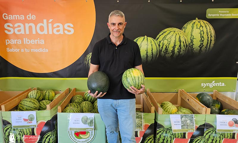 Víctor García del Águila con las nuevas variedades de sandía de Syngenta, entre ellas Agata y Coral / agroautentico.com