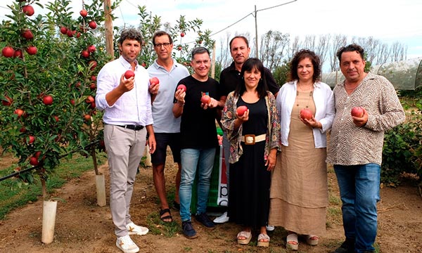 Poma de Girona prevé producciones superiores a las 100.000 toneladas de manzana anuales en las cosechas de los próximos años