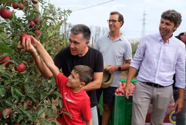 Pistoletazo de salida a la cosecha de manzanas en Girona 2024