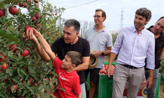 Poma de Girona prevé producciones superiores a las 100.000 toneladas de manzana anuales en las cosechas de los próximos años 2