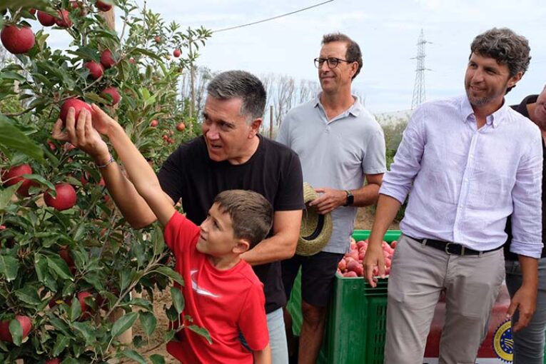 Pistoletazo de salida a la cosecha de manzanas en Girona 2024