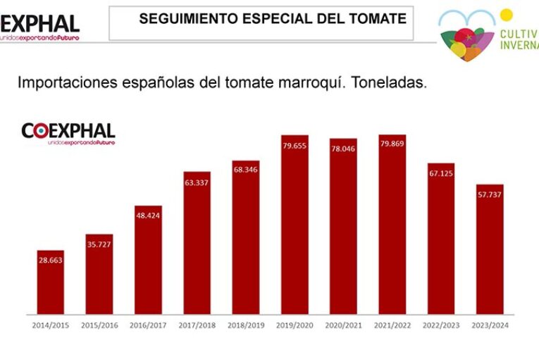 Paralelismos entre las campañas de Almería y Marruecos en tomate y sandía