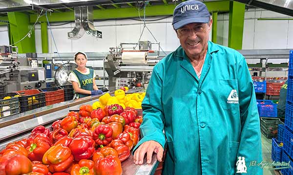 Ángel Lirola, gerente de Camposol. Unica facturación récord en 2023/24 / agroautentico.com