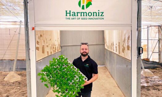 Bernabel y Bonáyar, dos californias para satisfacer a toda la cadena-noticias-agroautentico.com
