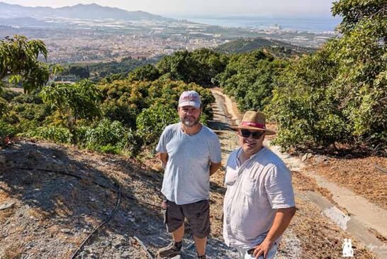 En la cuna del aguacate en España con Brandt