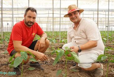 Juntos en la Universidad para reencontrarse hoy día como técnico y agricultor